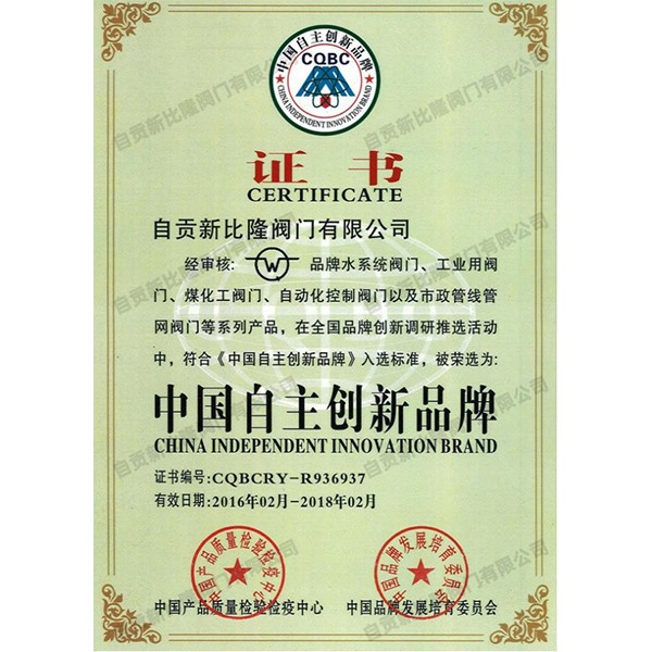 中国自主创新品牌